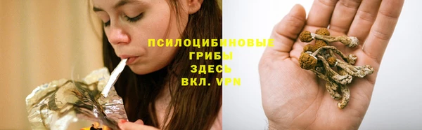 дурь Вязьма