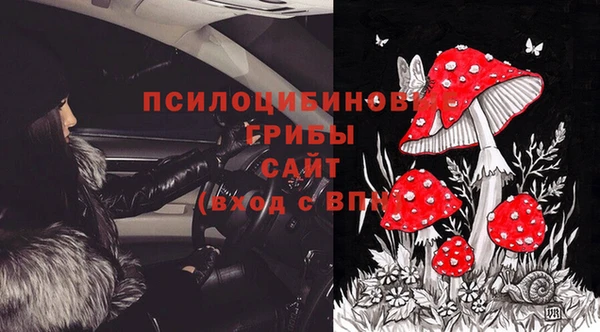 марки lsd Горняк