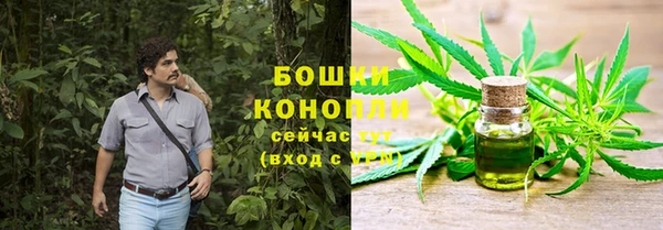 первитин Горнозаводск