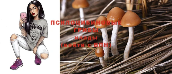 мяу мяу мука Горно-Алтайск