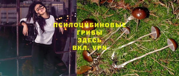 ALPHA PVP Вяземский