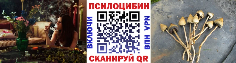 Псилоцибиновые грибы мухоморы  Чухлома 